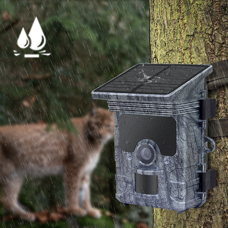 eco solar trail camera